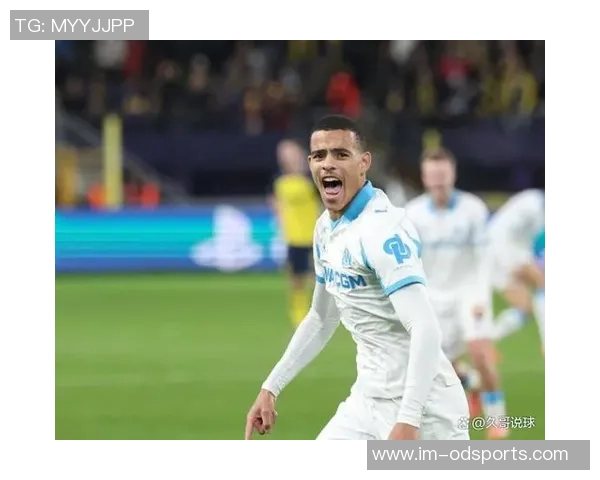 法甲身价上涨榜揭晓维蒂尼亚内维斯领涨2000万青木紧随其后